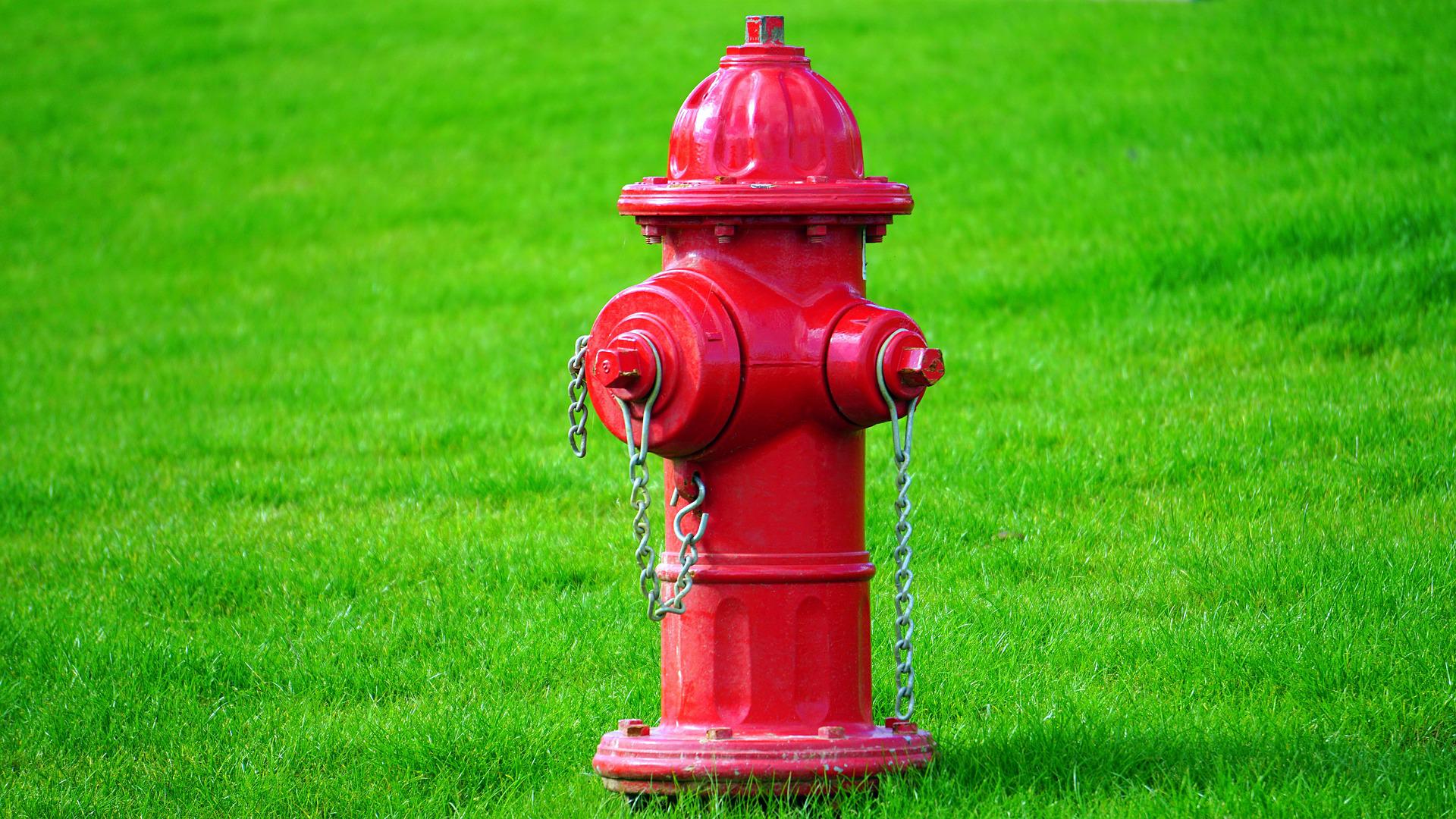 Czerwony hydrant stojący na trawie.