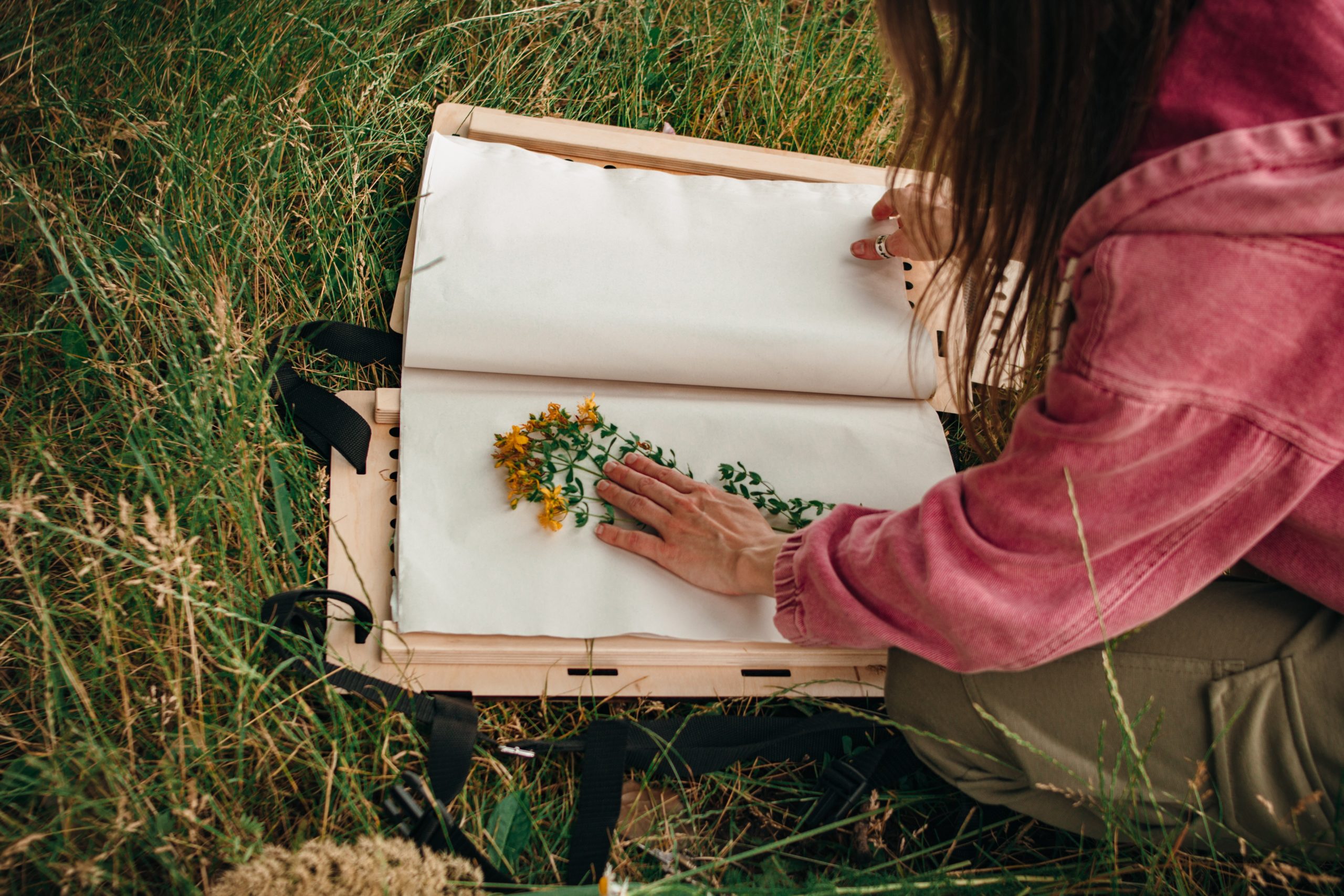 Kobieta układająca roślinę z żółtymi kwiatami na kartce papieru. Kobieta siedzi na trawie.