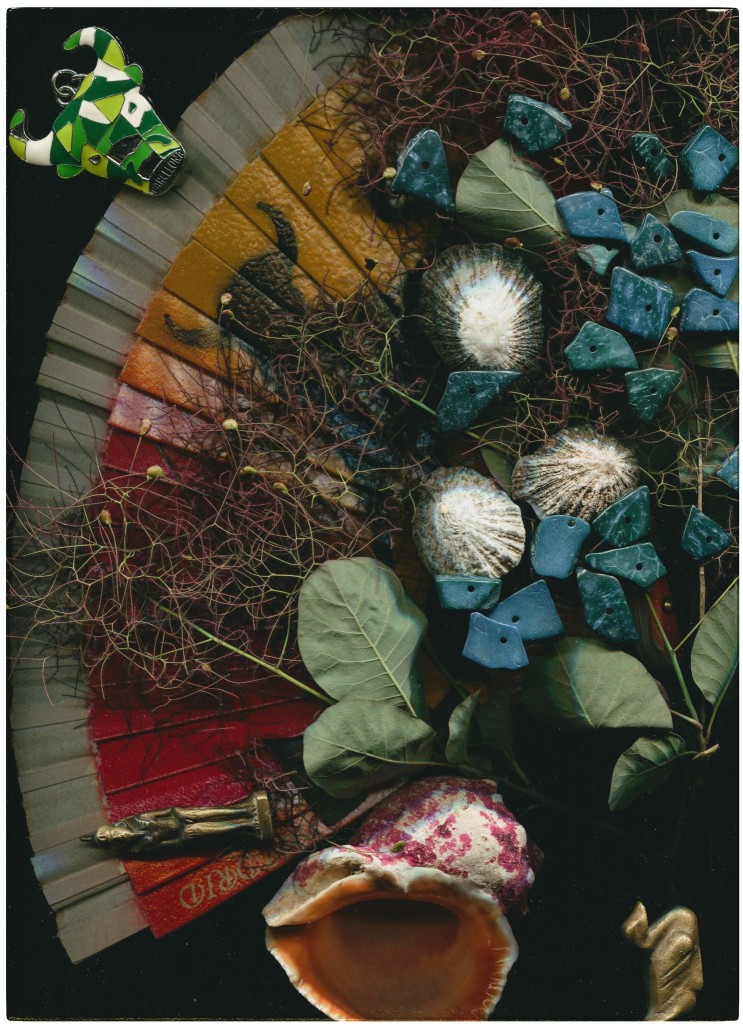 Skan płatków kwiatów.