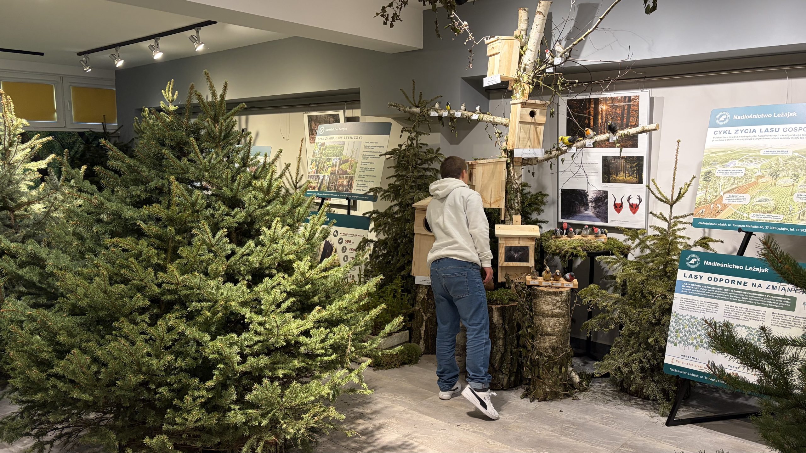 Ekologiczne zajęcia w Pracowni Orange