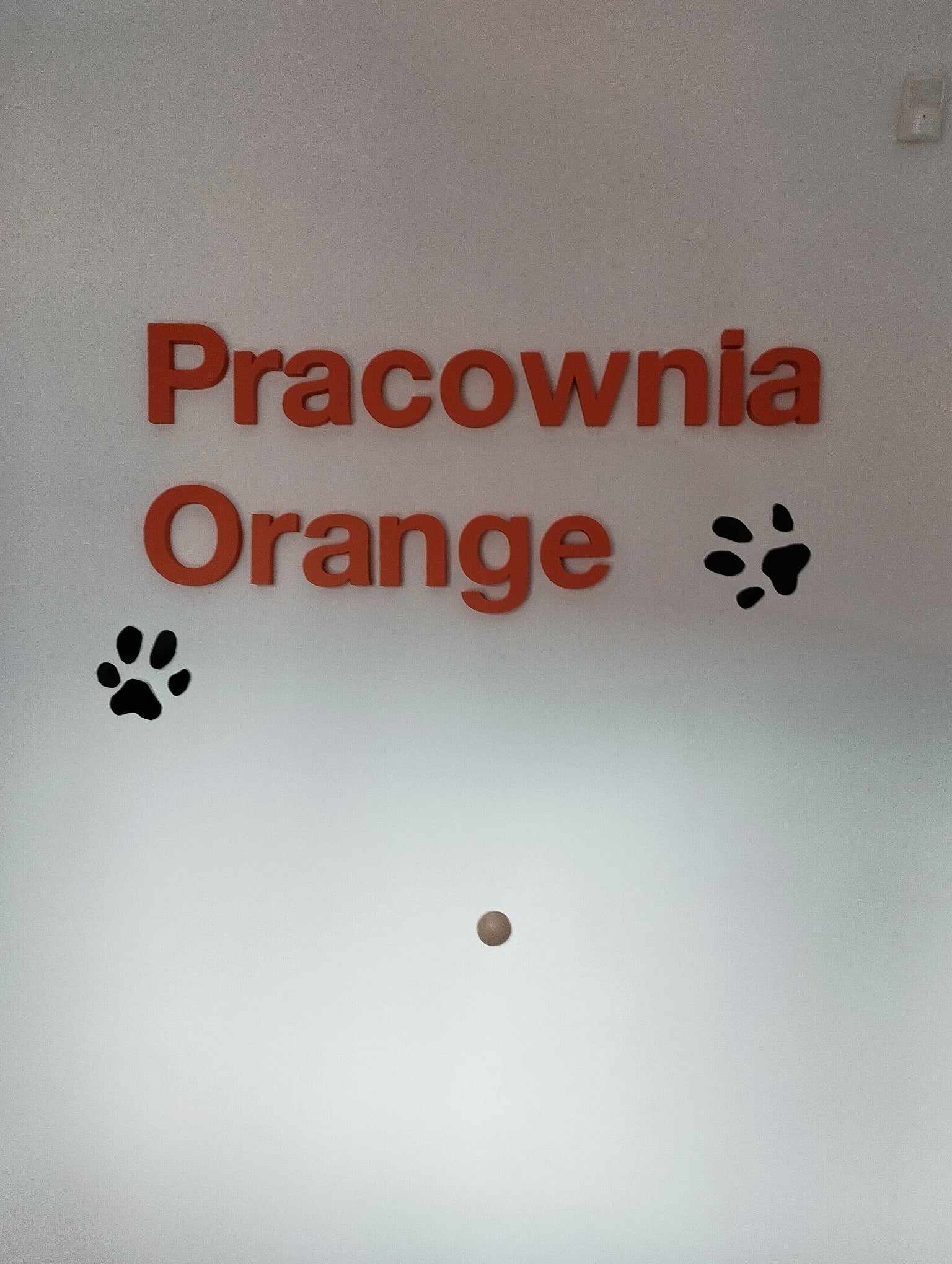 Ręce dzieci na tle napisu Pracownia Orange.