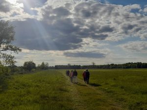 Grupa osób podczas treningu nordic walking.