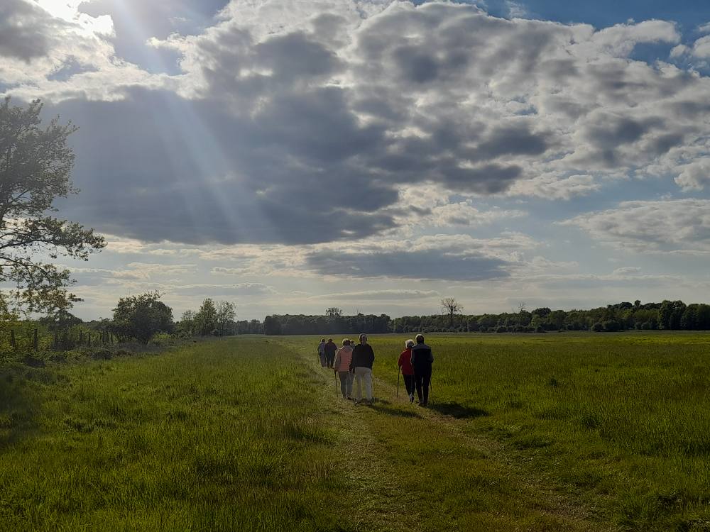 Grupa osób podczas treningu nordic walking.