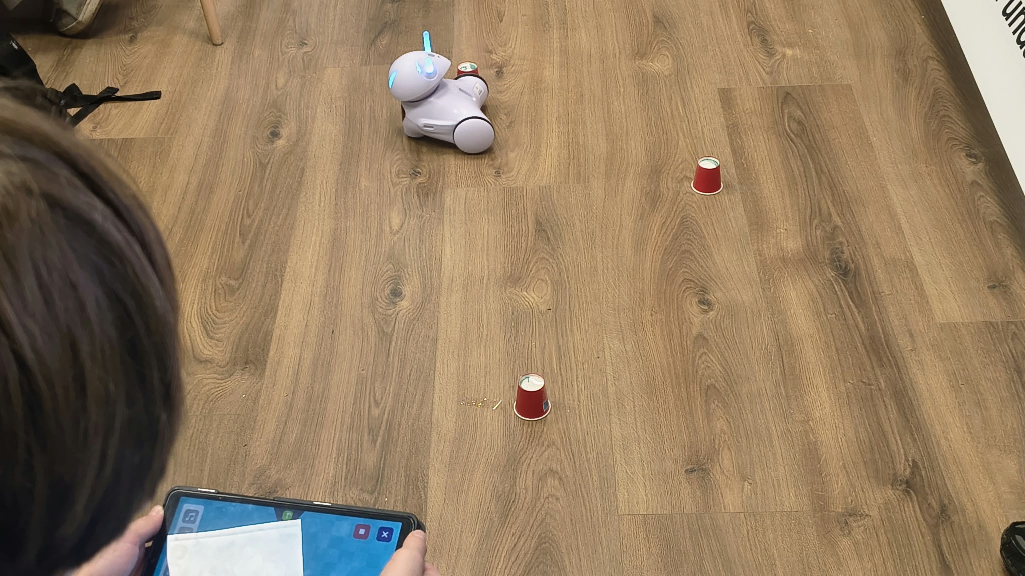 dziecko steruje robotem