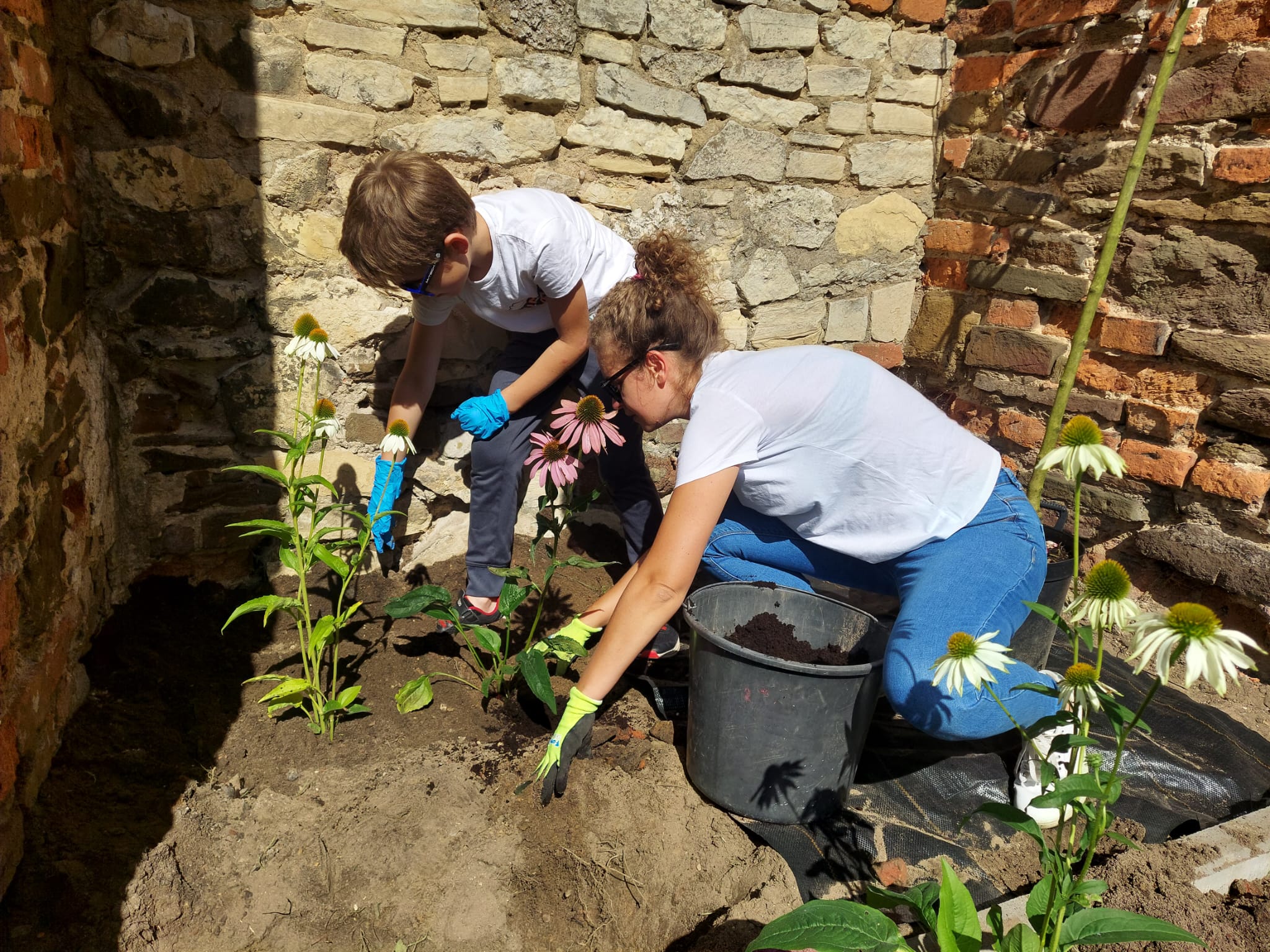 Dwie osoby sadzą rośliny.