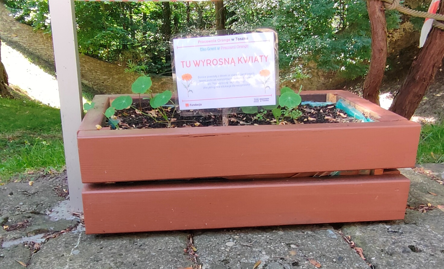 zdjęcie doniczki z tabliczką