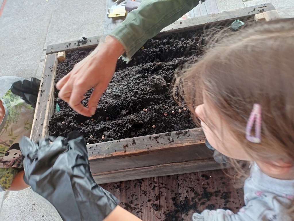 zdjęcie dziecka sadzącego nasiona do doniczki