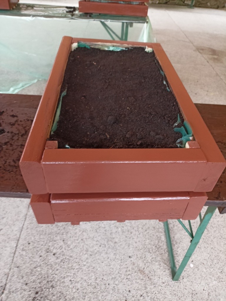 zdjęcie doniczki napełnionej ziemią