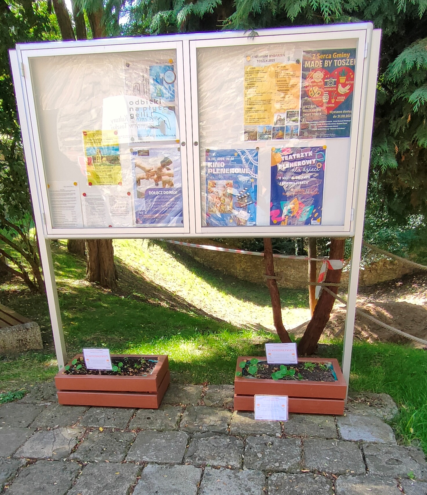 na zdjęciu widać tablicę ogłoszeń, pod nią stoją donice z kwiatami.