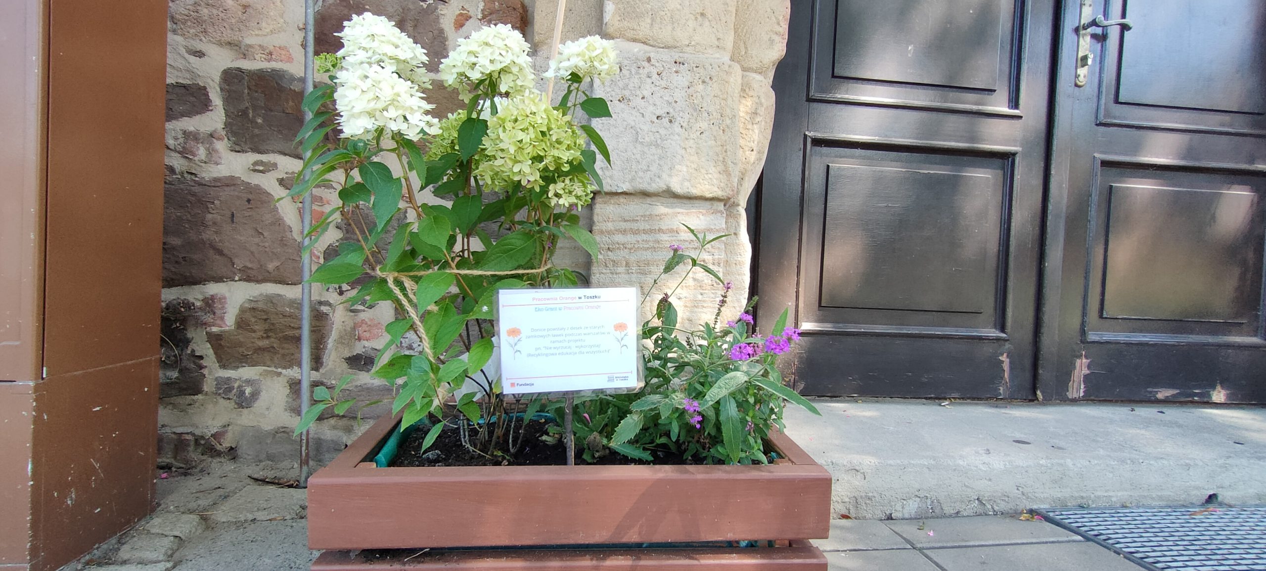 zdjęcie doniczki z roślinami i tabliczką informacyjną