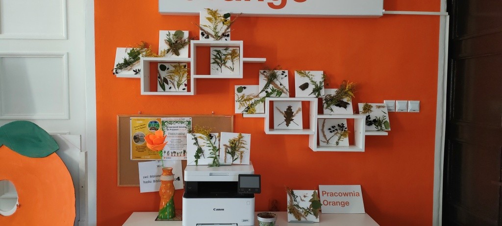 gotowe prace ustawione na półkach w Pracowni Orange