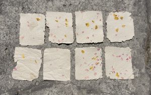 Papier czerpany, który powstał na warsztatach.