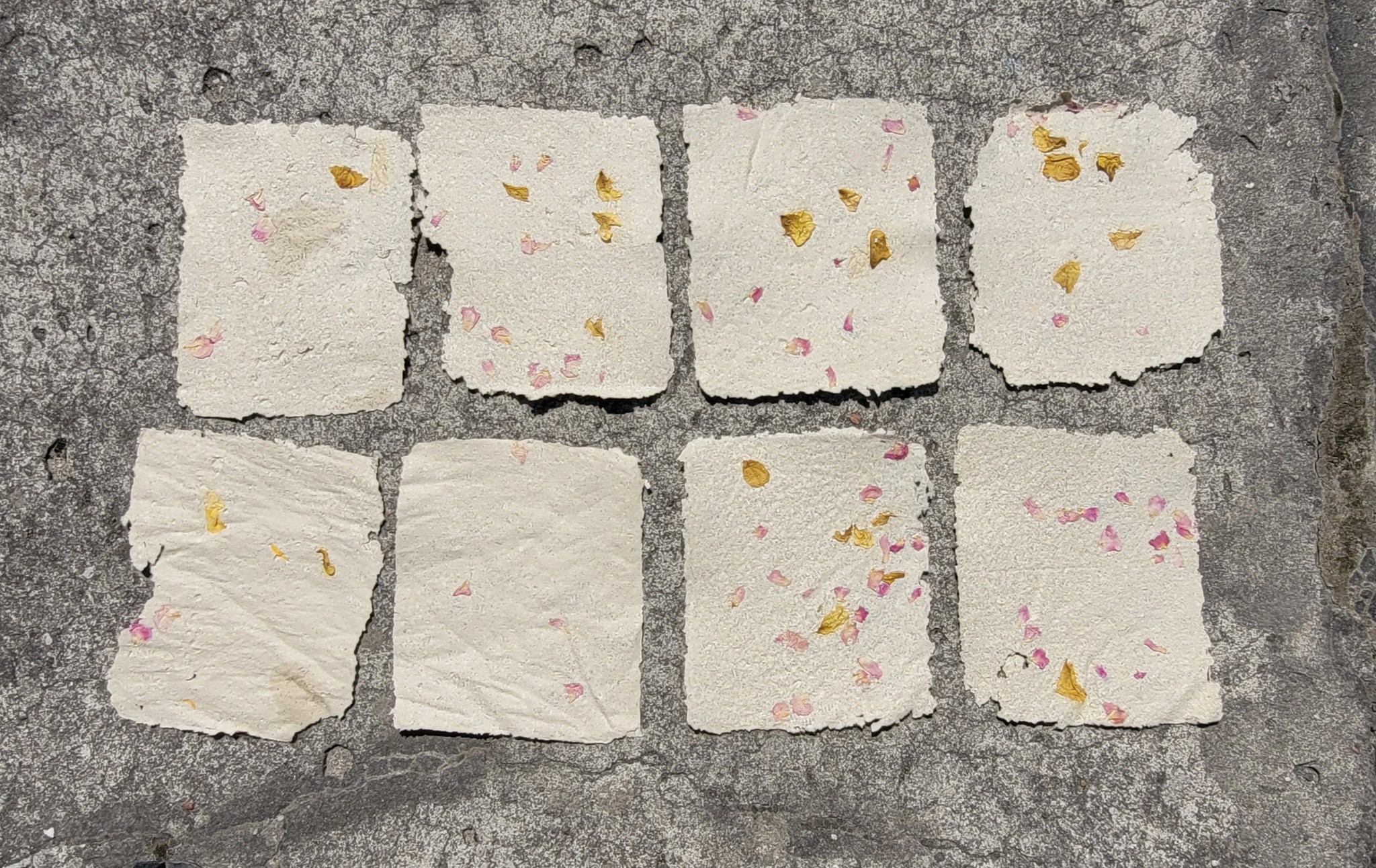 Papier czerpany, który powstał na warsztatach.