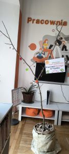 totem społeczności