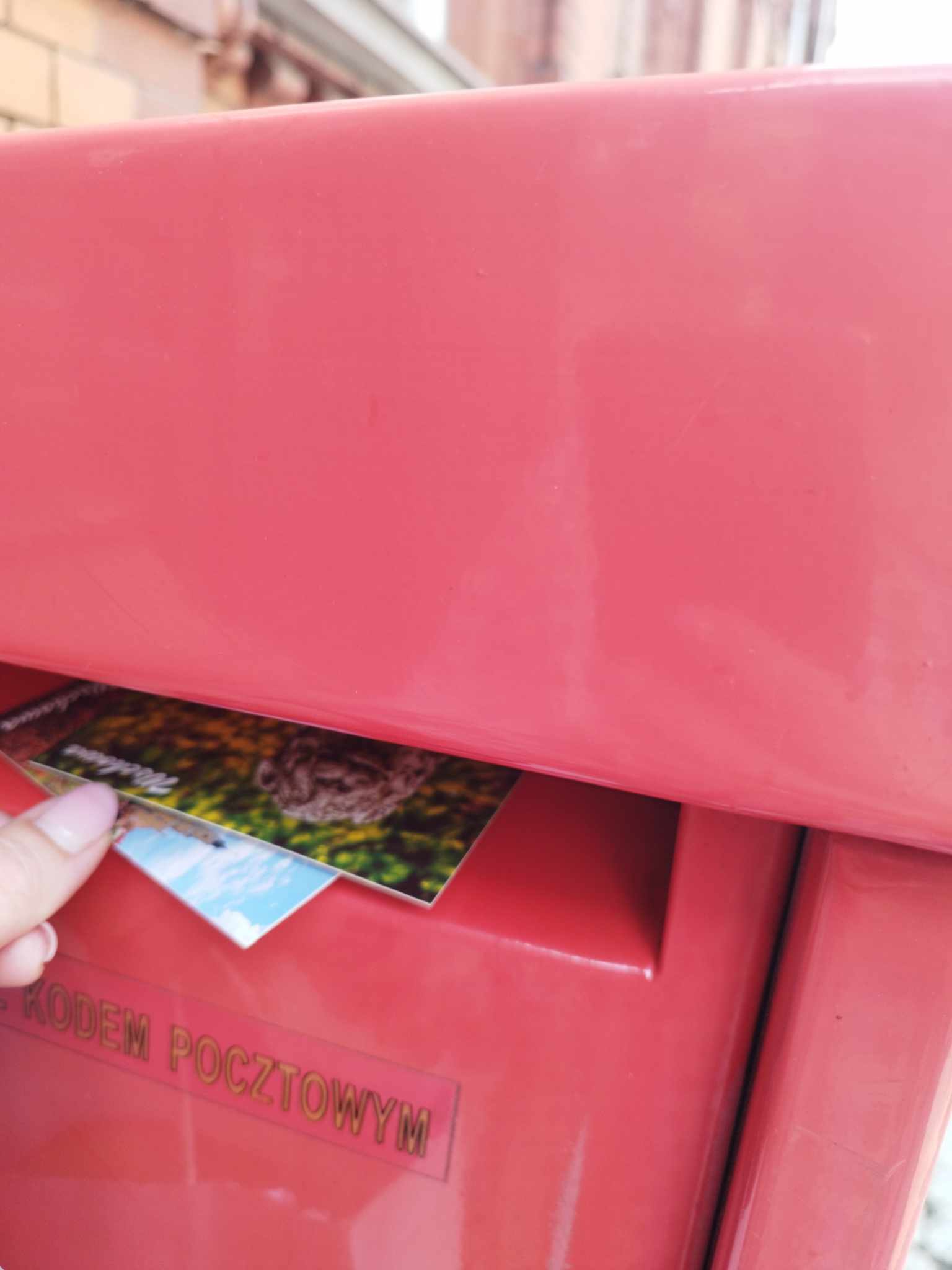 Zdjęcie kawałka dłoni, która wrzuca pocztówki do skrzynki pocztowej.