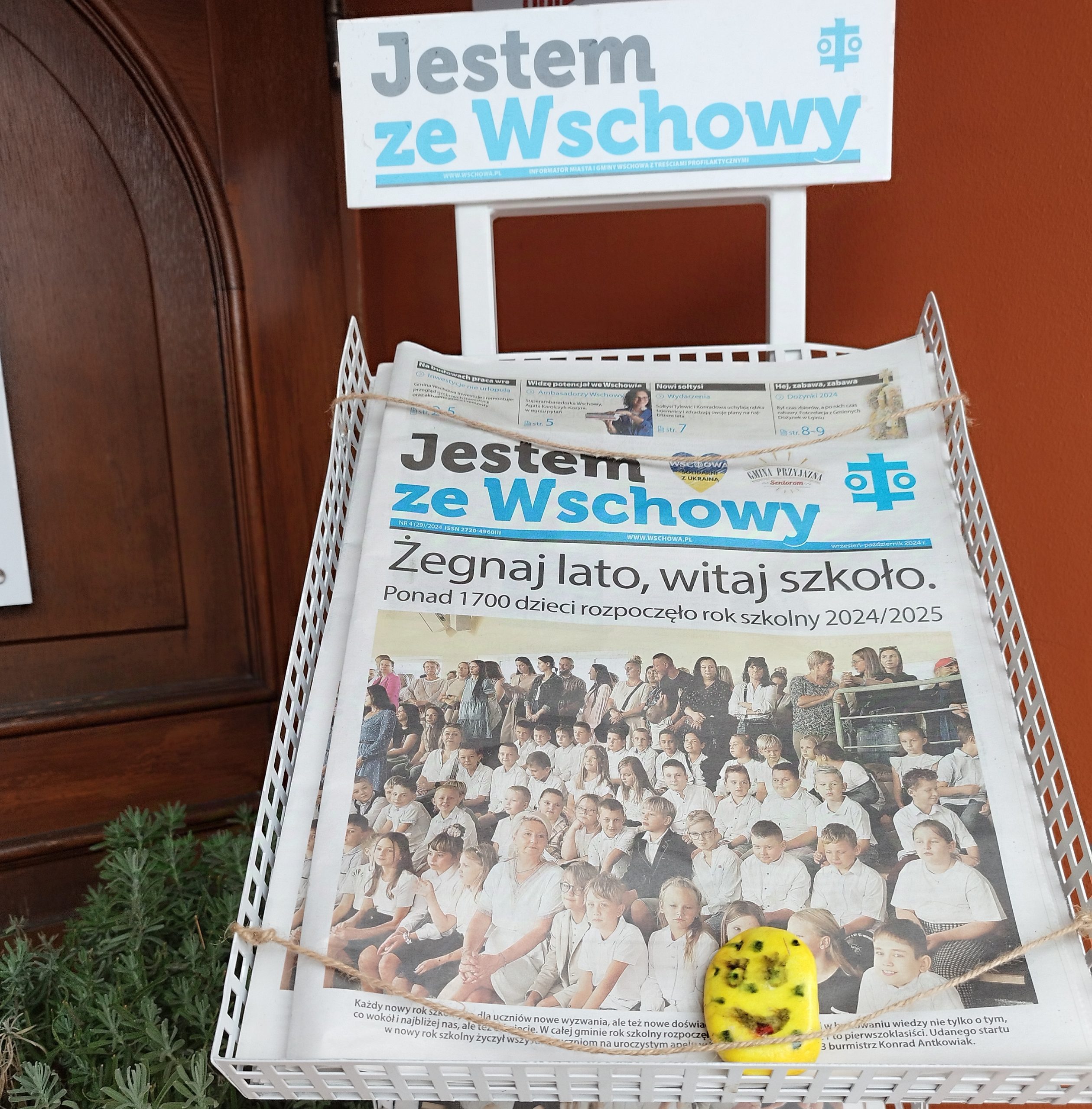 kamyczki we Wschowie