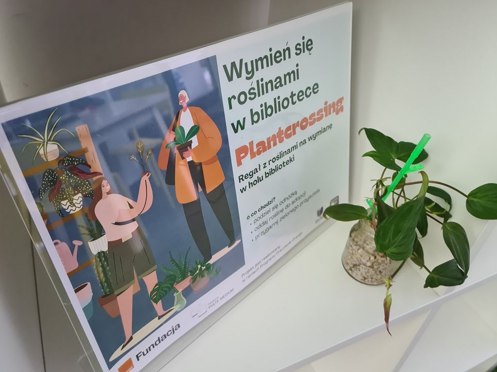 Plakat z plantcrossingu w ekspozytorze, po prawej odnóżka rośliny