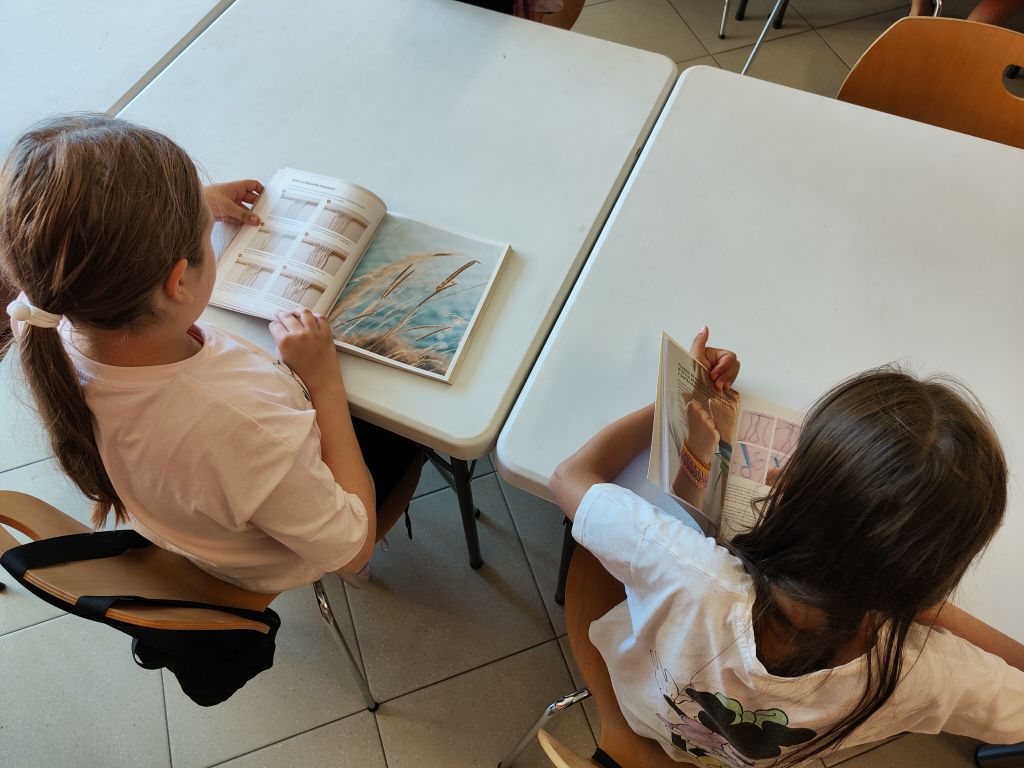 Dwie dziewczynki siedzą przy stole i przeglądają książki