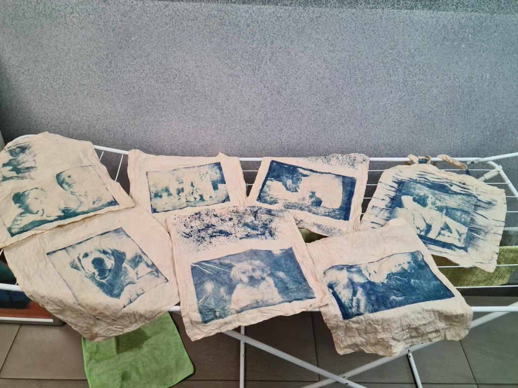 na suszarce do prania leży 7 bawełnianych toreb z niebieskimi zdjęciami