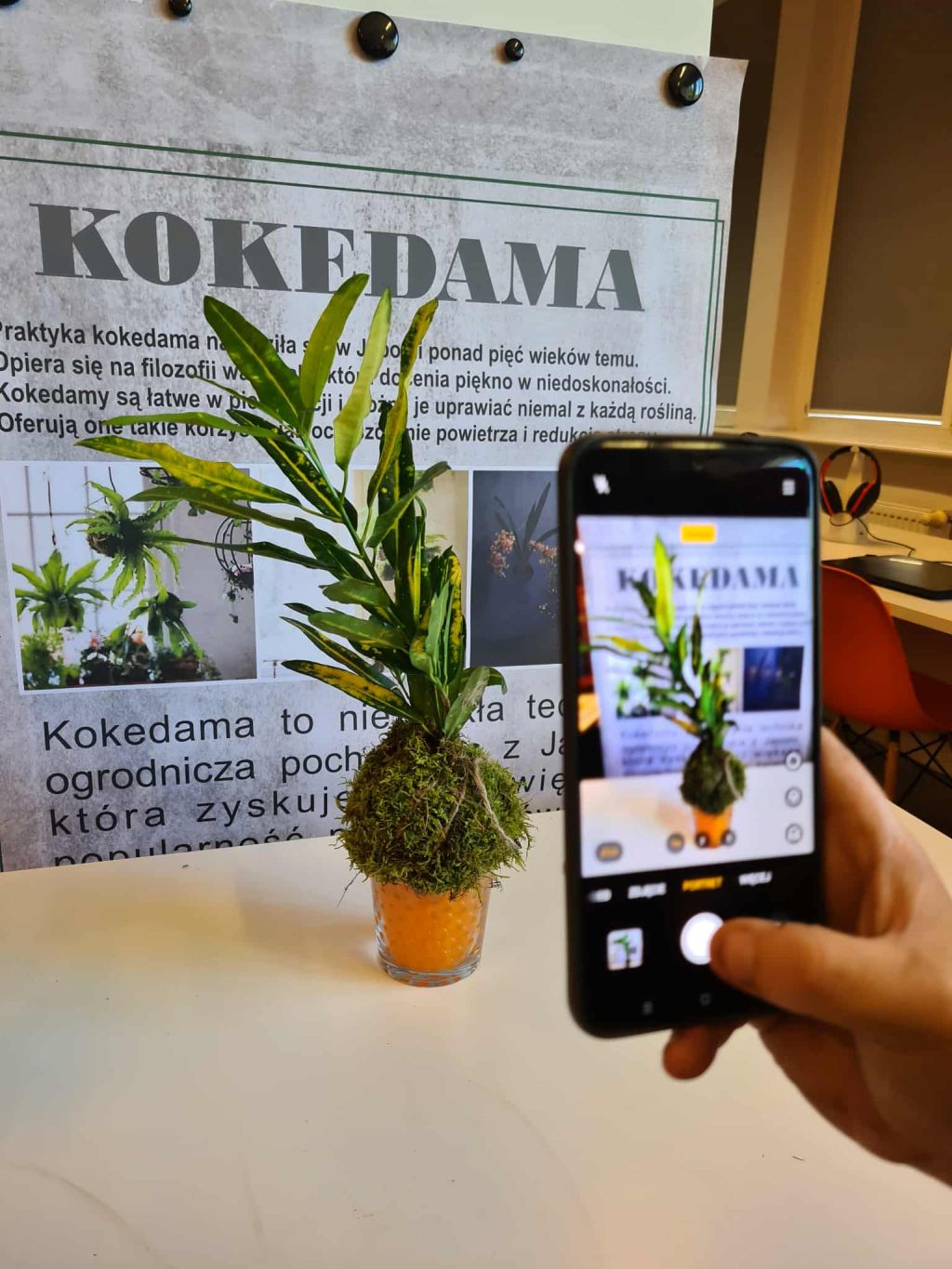 Zdjęcie gotowej pracy Kokedama ustawionej w szklanym naczyniu – w tle plakat wyjaśniający technikę.