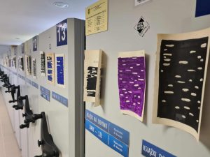 Rząd arkuszy blackout poetry przypiętych do szaf bibliotecznych, w różnych kolorach i stylach.