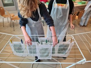 Dwie osoby w fartuchach rozwieszają mokre arkusze papieru czerpanego na suszarce.