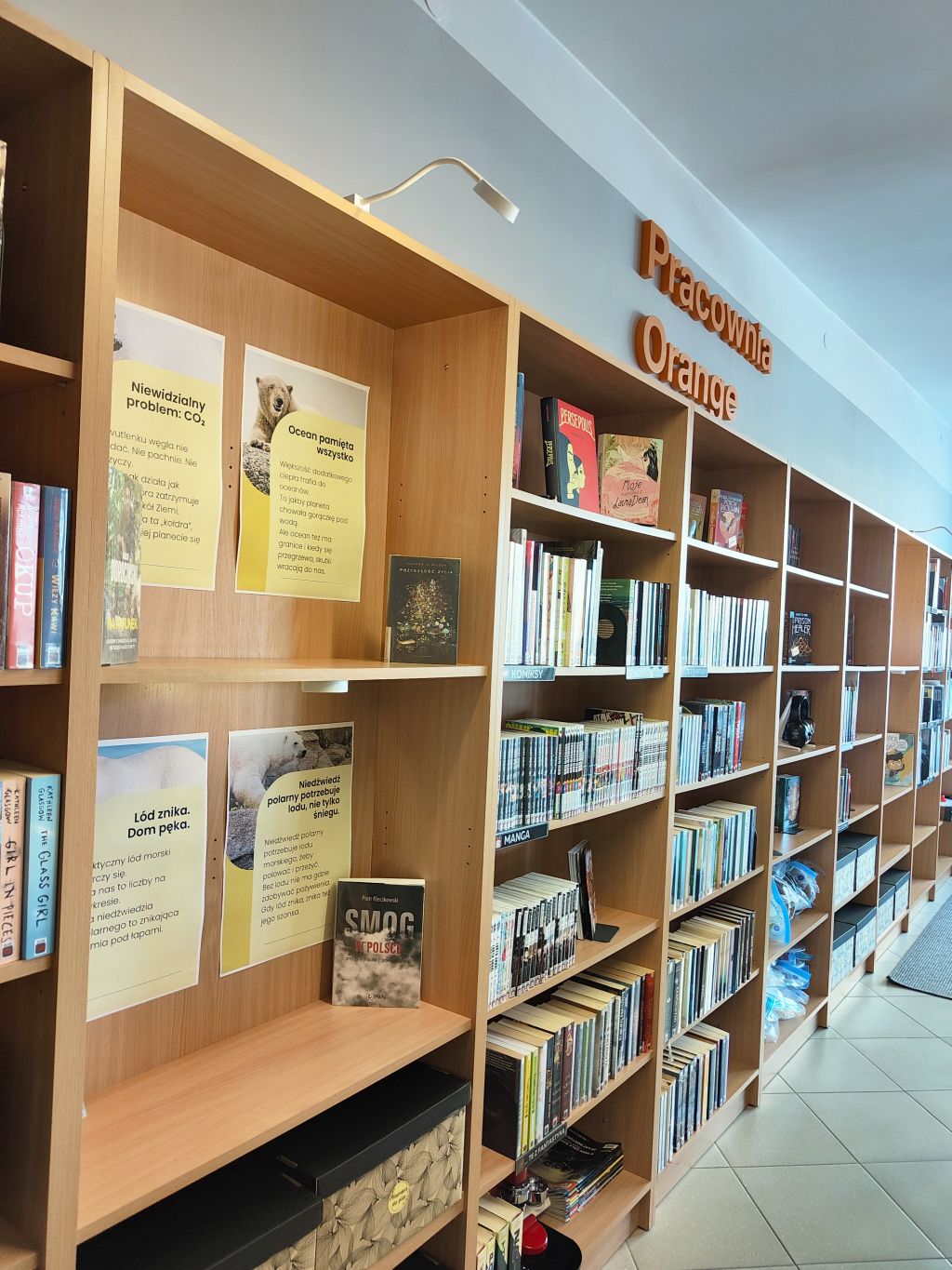 Regał w Dziale dla Młodzieży z ekspozycją klimatyczną.