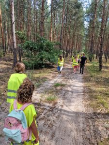 grupa dzieci idących przez las