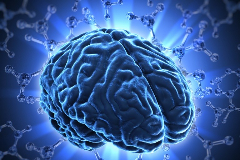 Widok mózgu na niebieskim tle