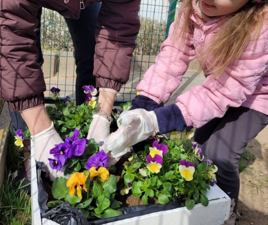 Biała drewniana skrzynka wypełniona ziemią i częściowo kepkami niskich kwiatów. Za skrzynką, w tle, pochylone nad nią, częściowo widoczne, poniżej głów, dwie postacie, z rękoma w rękawiczkach ogrodowych sadzące kwiaty do skrzynki.