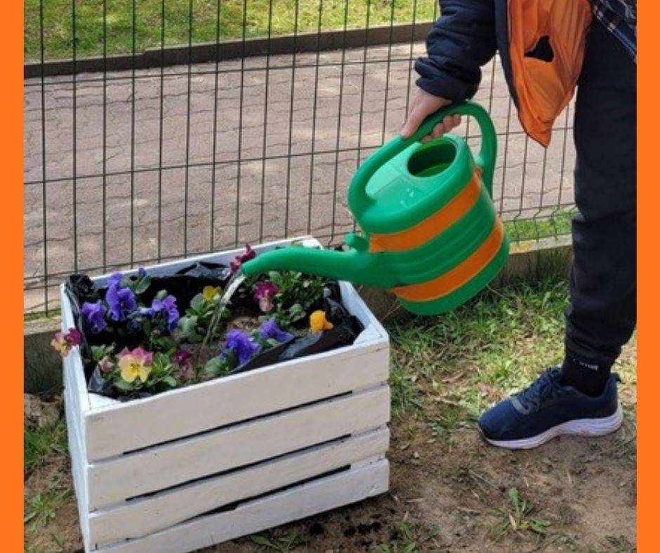 Biała, drewniana skrzynka z ziemią i zasadzonymi w niej, niskimi kwiatami . Z prawej strony przy skrzynce częściowo widoczna postać pochylająca się nad skrzynką, trzymająca w ręce plastikowa dużą konewkę i podlewająca kwiaty. W tle ażurowe ogrodzenie i widoczny przez nie chodnik