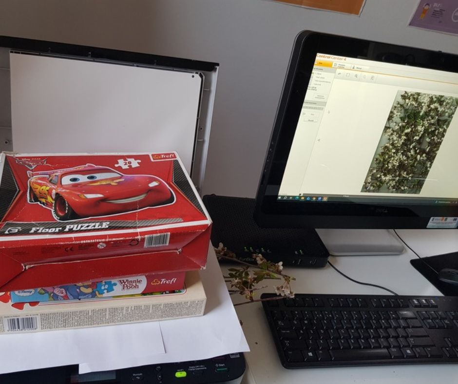 Skaner i komputer w trakcie skanowania obrazu