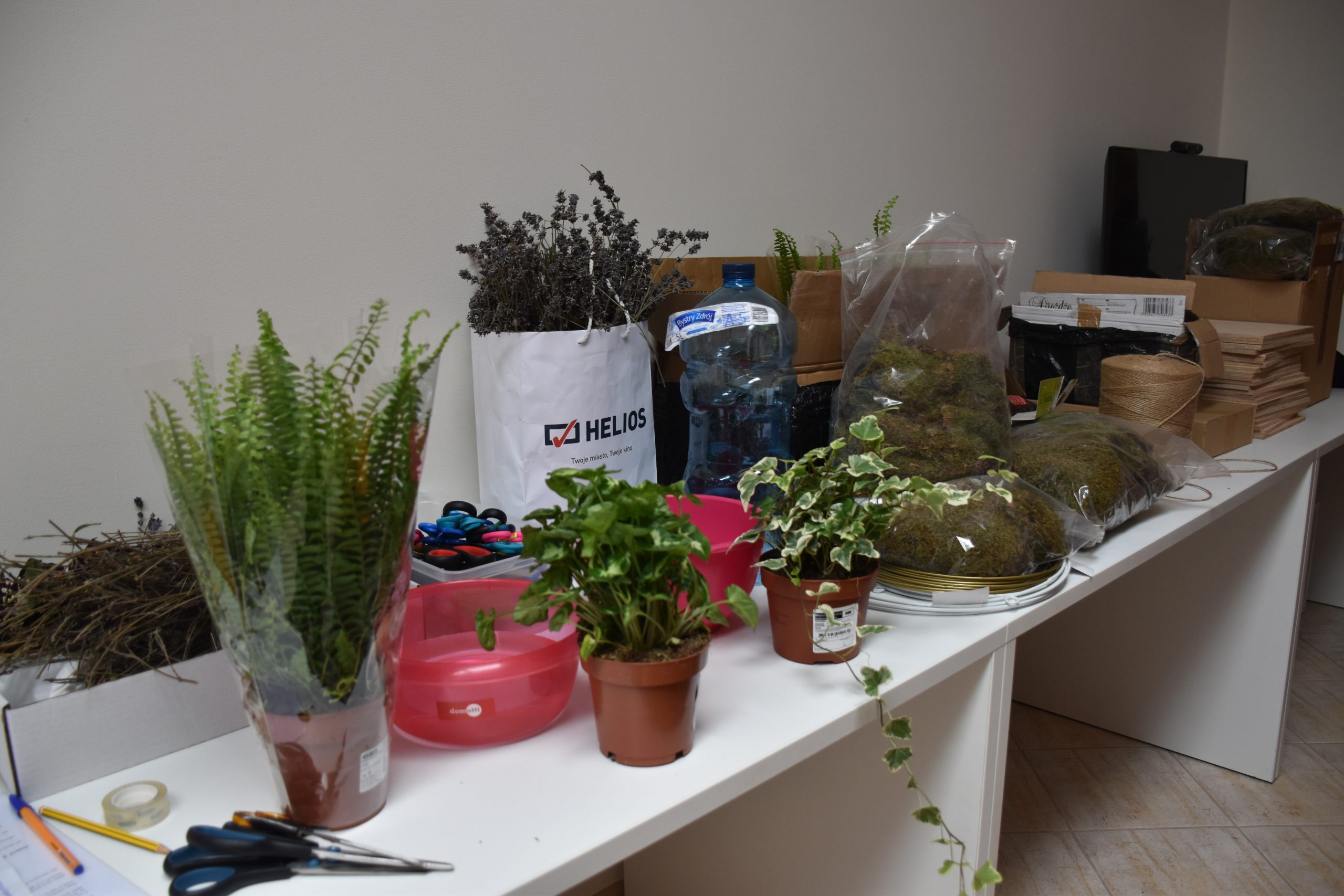 Zdjęcie stołu, na którym stoją rośliny oraz materiały do tworzenia kompozycji florystycznych.