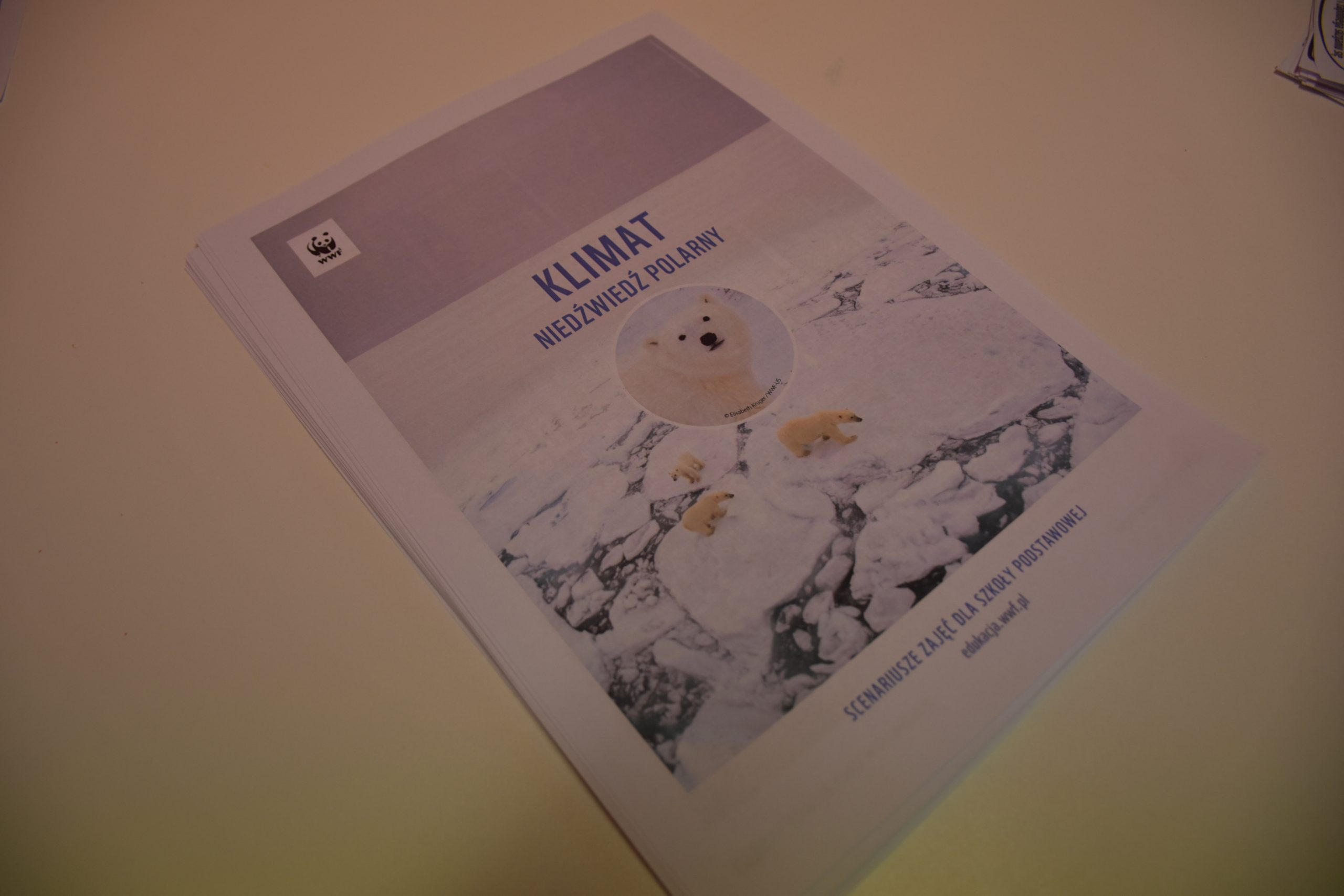 scenariusz zajęć o klimacie i niedźwiedziu polarnym