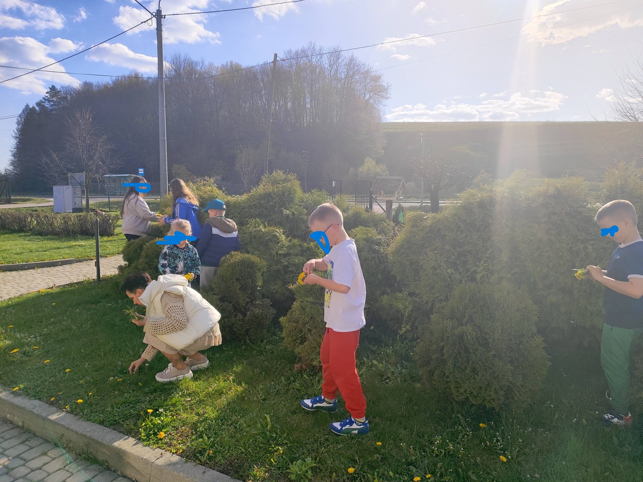 zbieramy eksponaty do zielnika