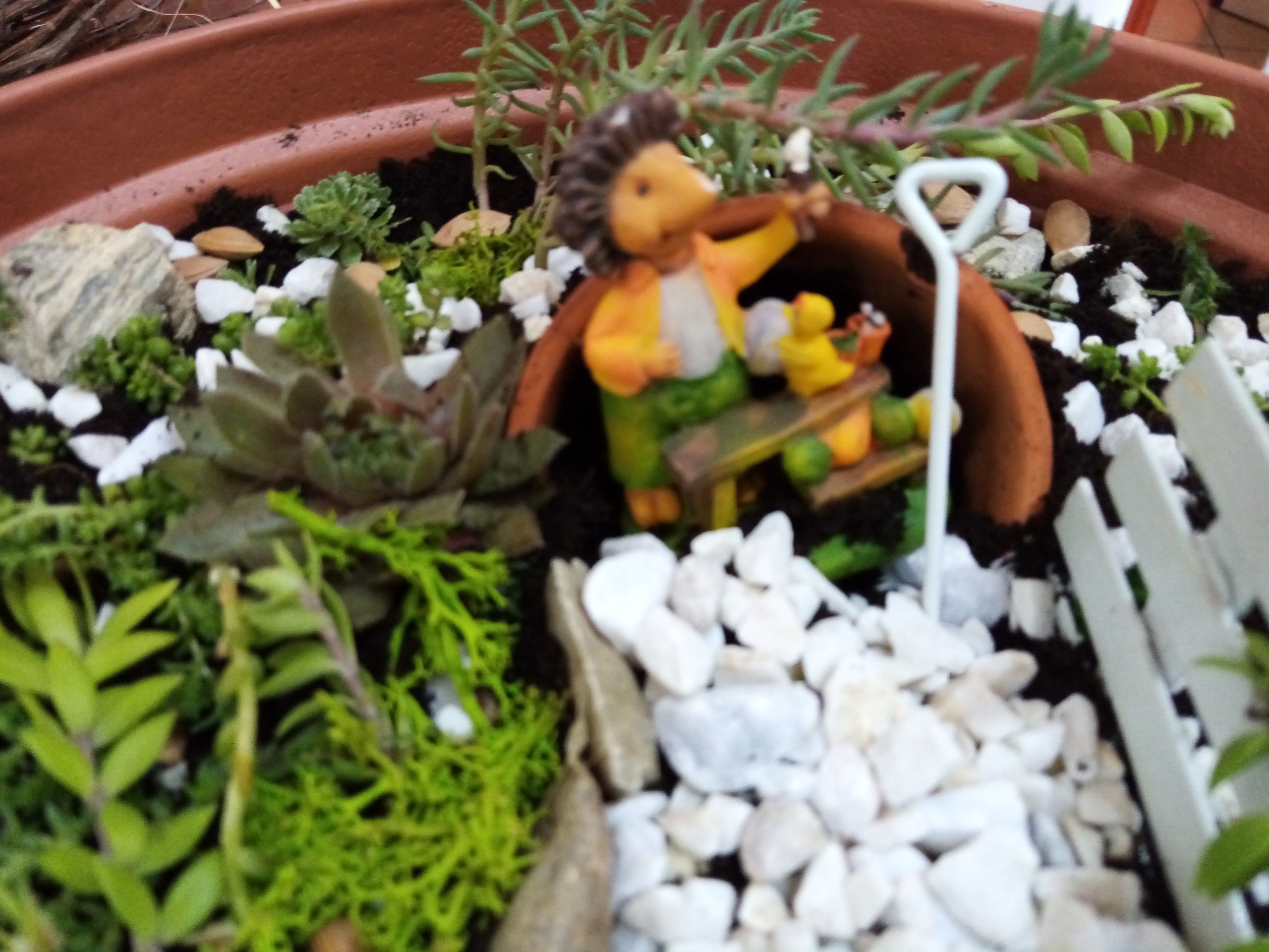 Zdjęcie, fragment ogrodu wróżek - zabawka, rośliny.