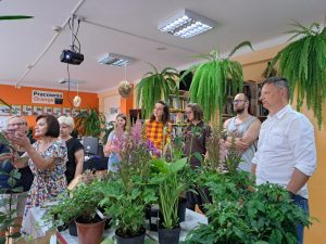 Kilka osób stoi przy stole, na którym stoją rośliny miododajne