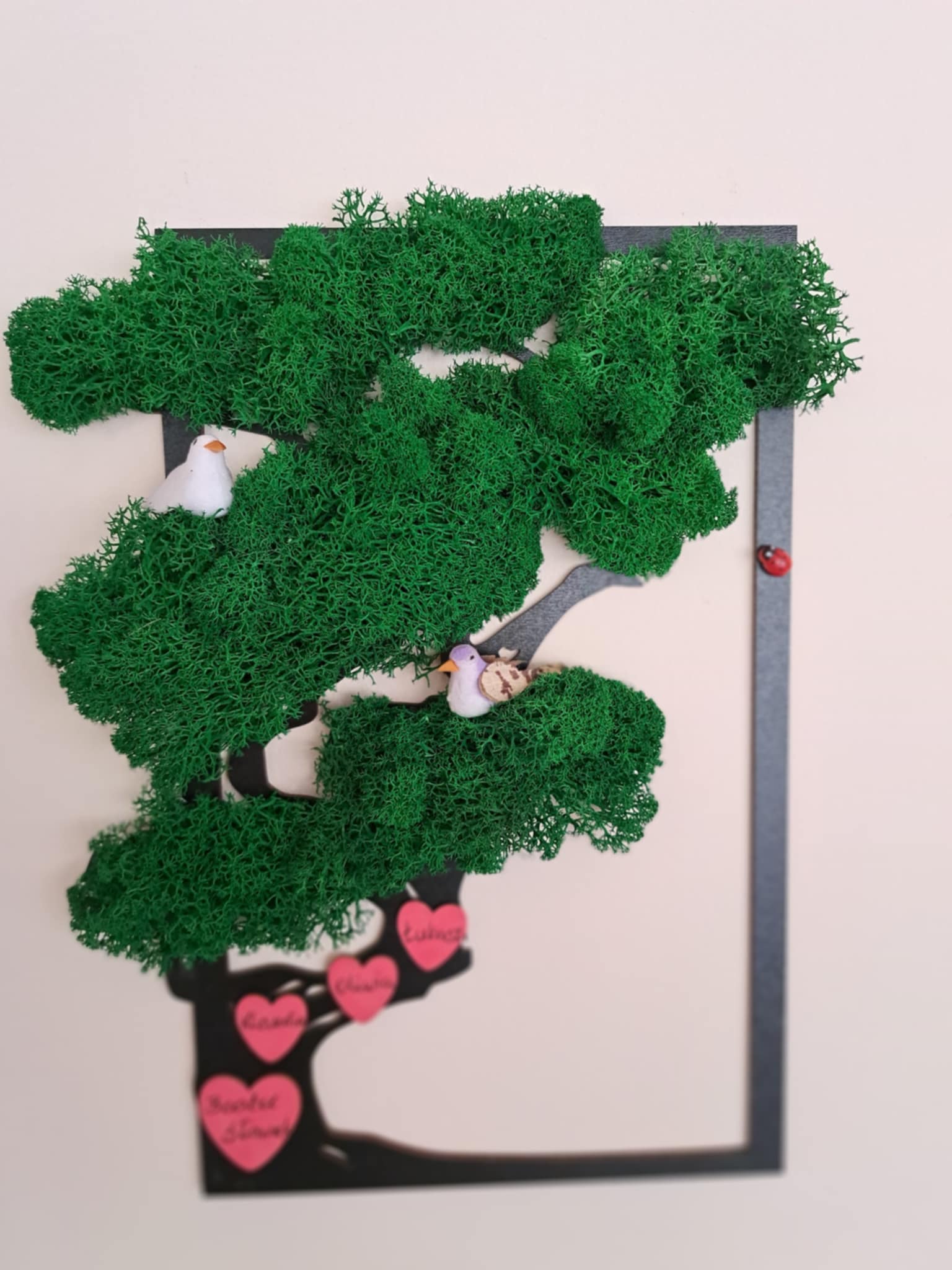 Drzewko z mchu na drewnianej prostokątnej ramie.