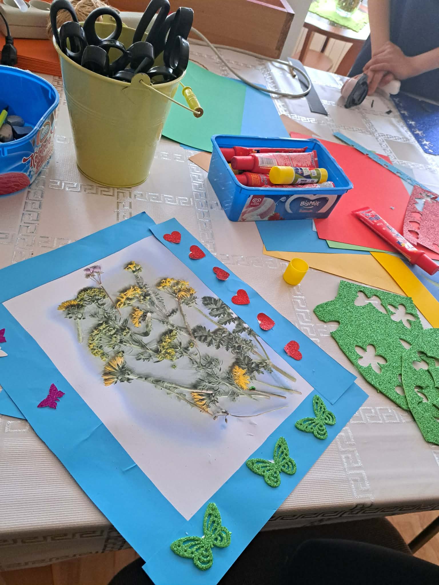 Warsztaty skanografii