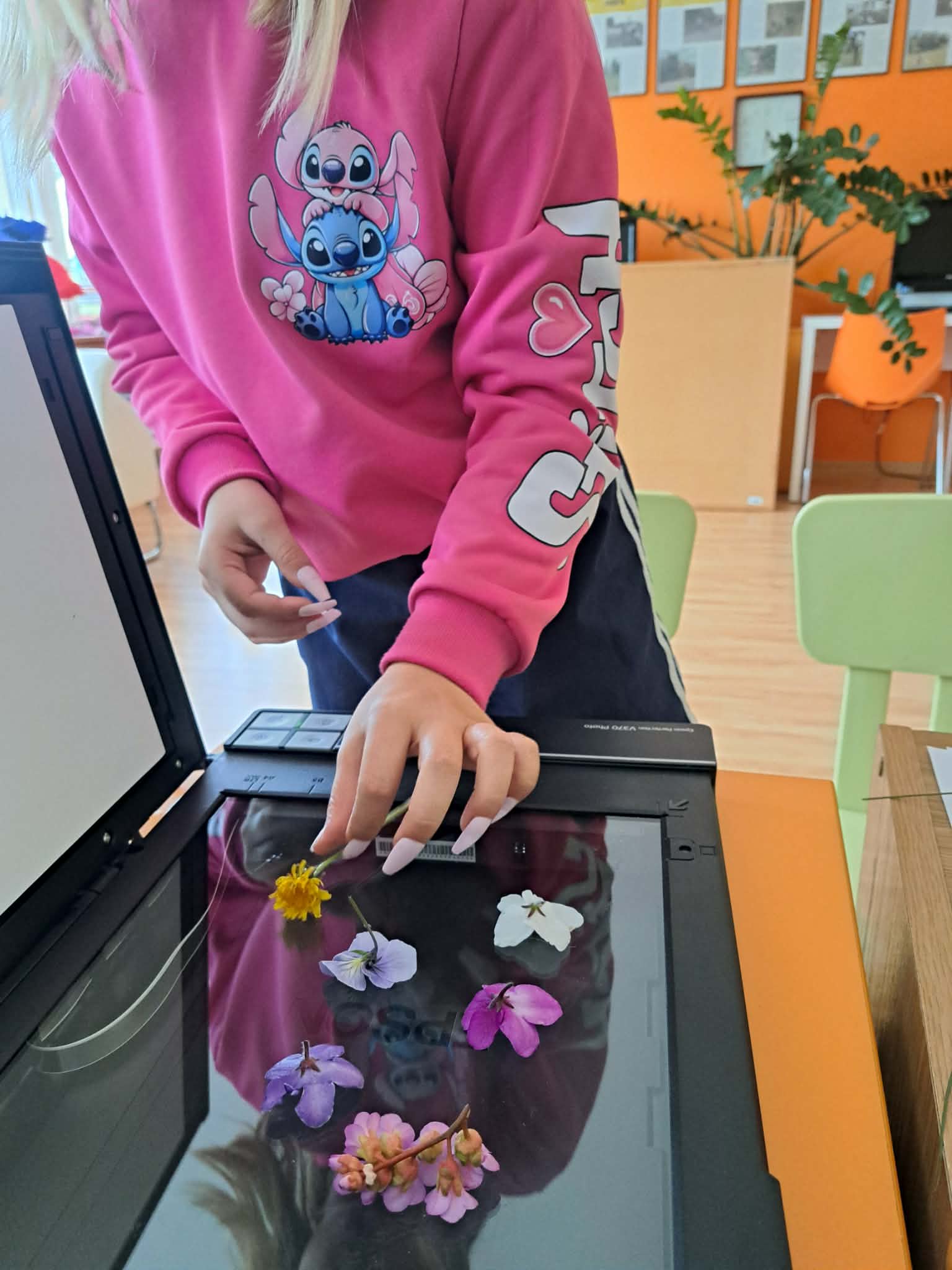 Warsztaty skanografii