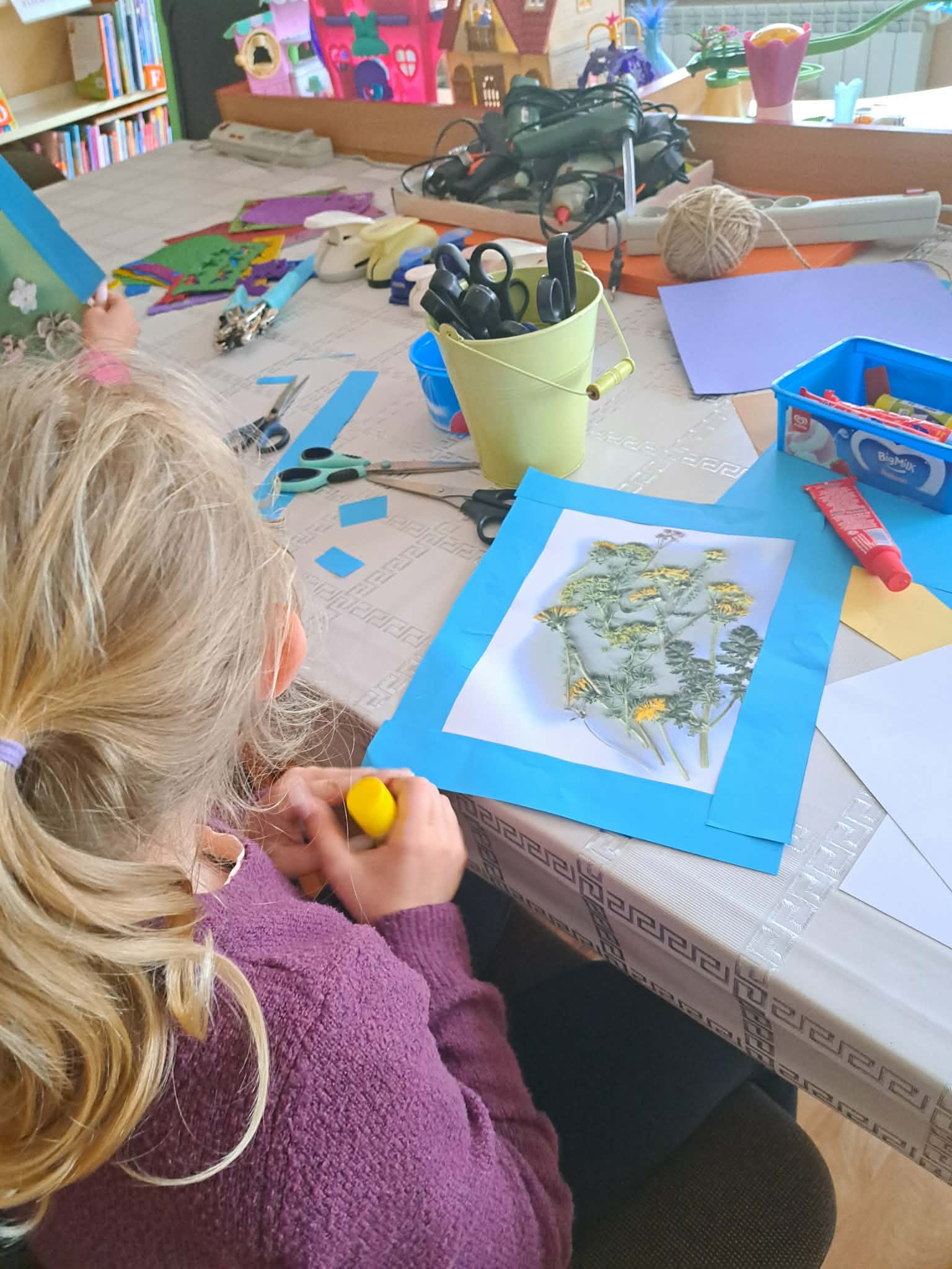 Warsztaty skanografii