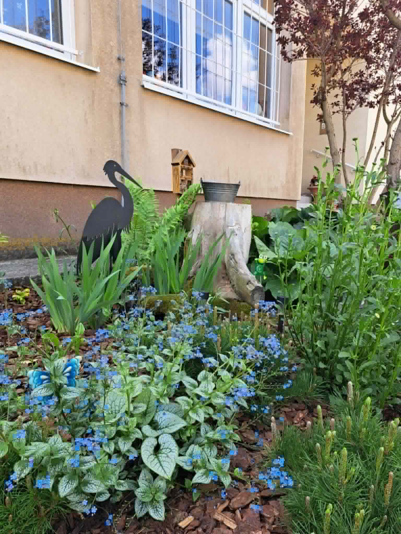 rośliny w ogrodzie
