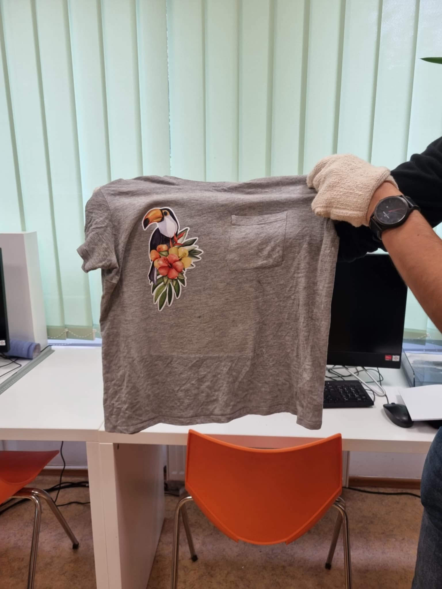 Koszulka z naprasowanką z wzorek papugi