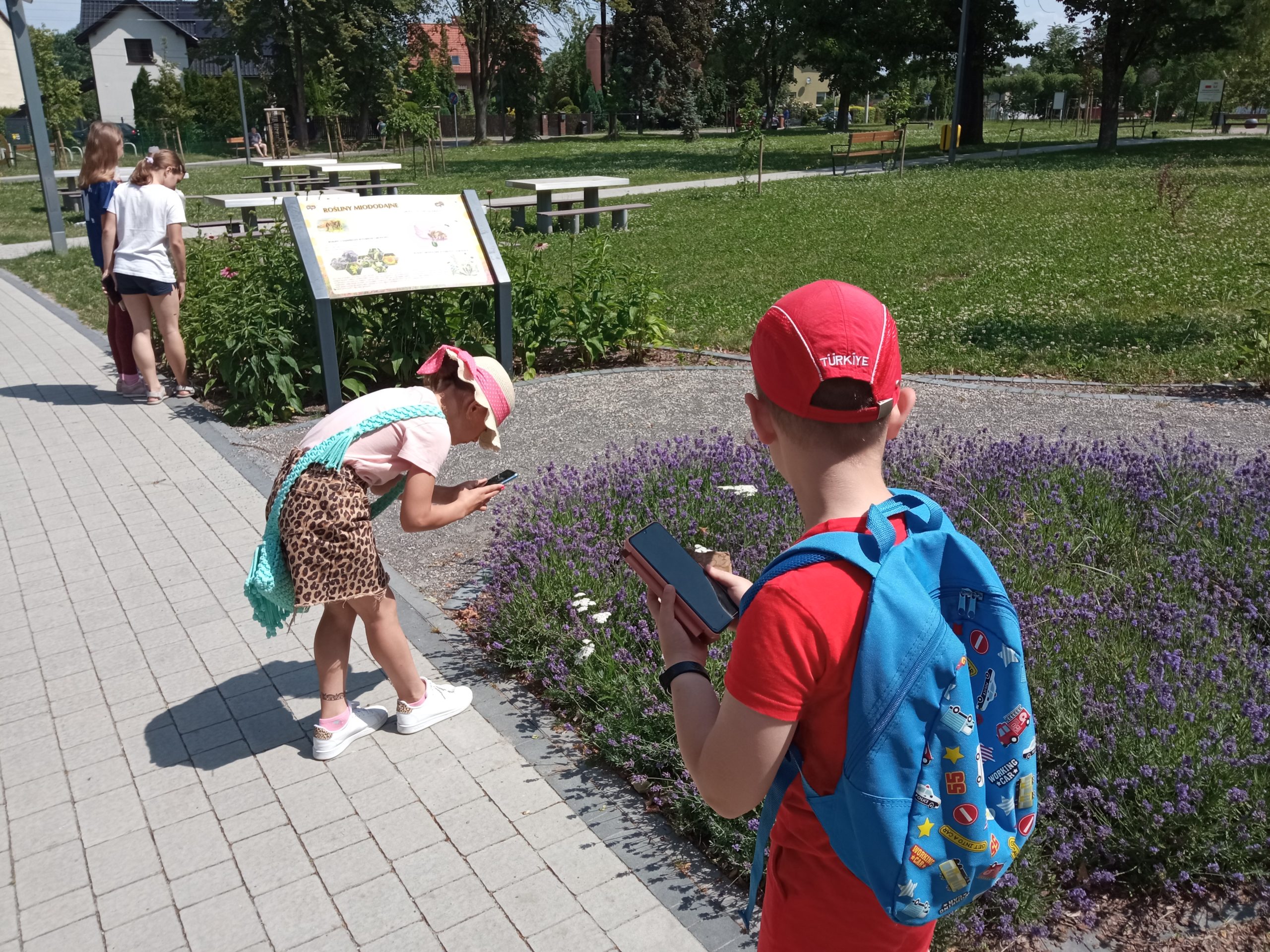 Kolorowe zdjęcie. Grupa dzieci z smartfonami robi zdjęcia kwiatom.