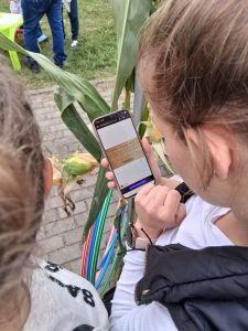 dwie dziewczynki nachylają się nad ekranem telefonu