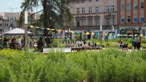 Na zdjęciu nowo wyremontowany skwer z fontanną w centrum miasta Gubina. Nad przestrzenią parku rozwieszone są setki kolorowych motylków. Świat jest piękniejszy w kolorze!