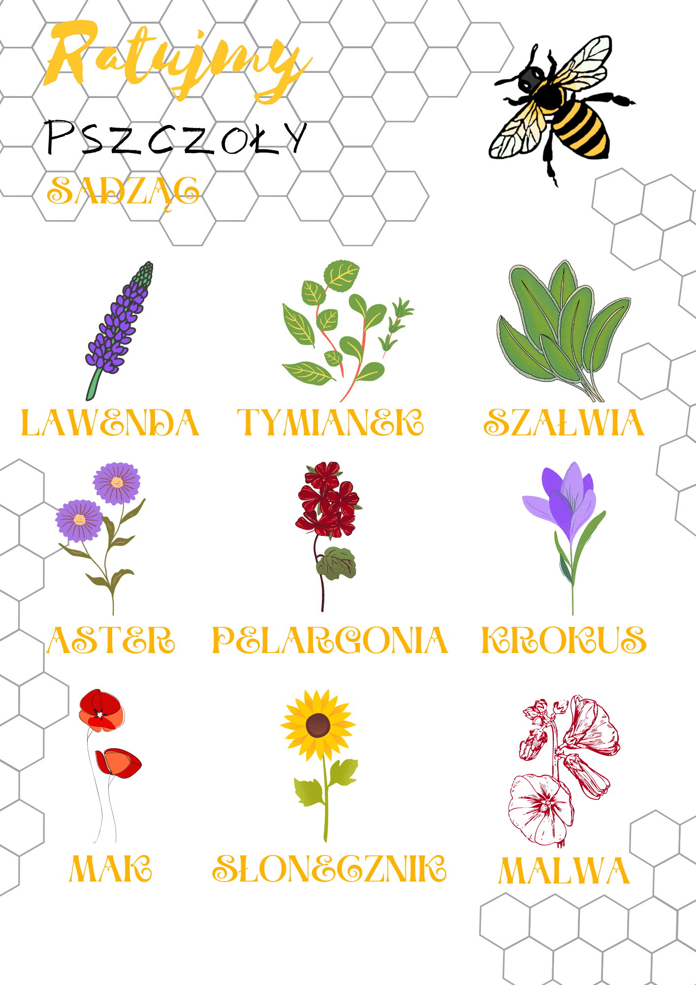 Plakat z listą kwiatów, które lubią pszczoły.