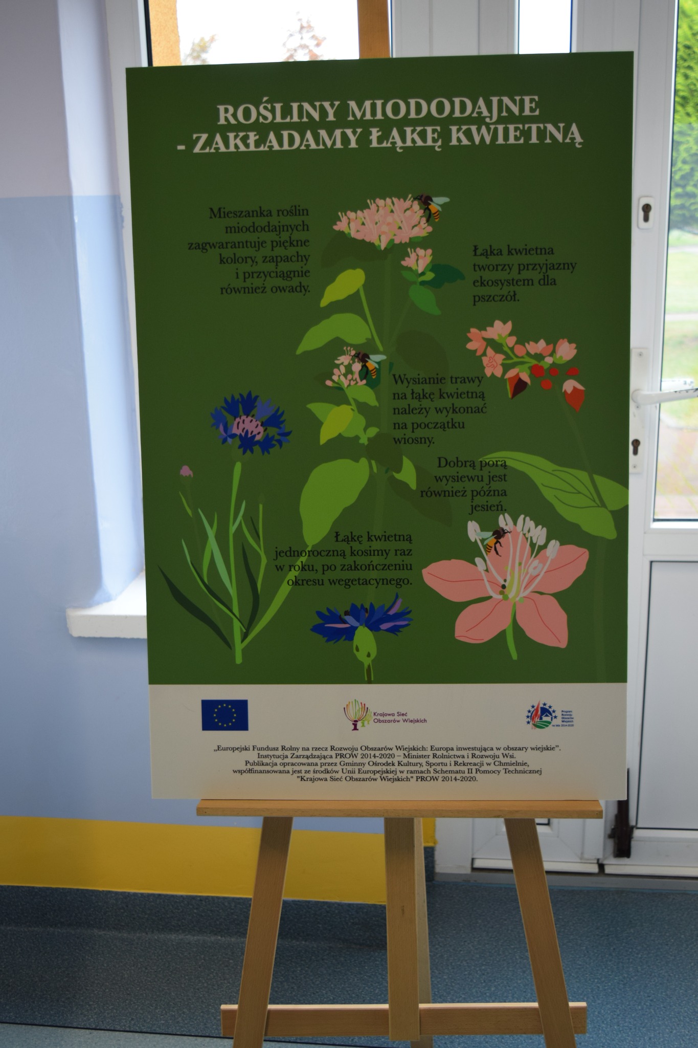 Plakat przedstawiający rośliny miododajne