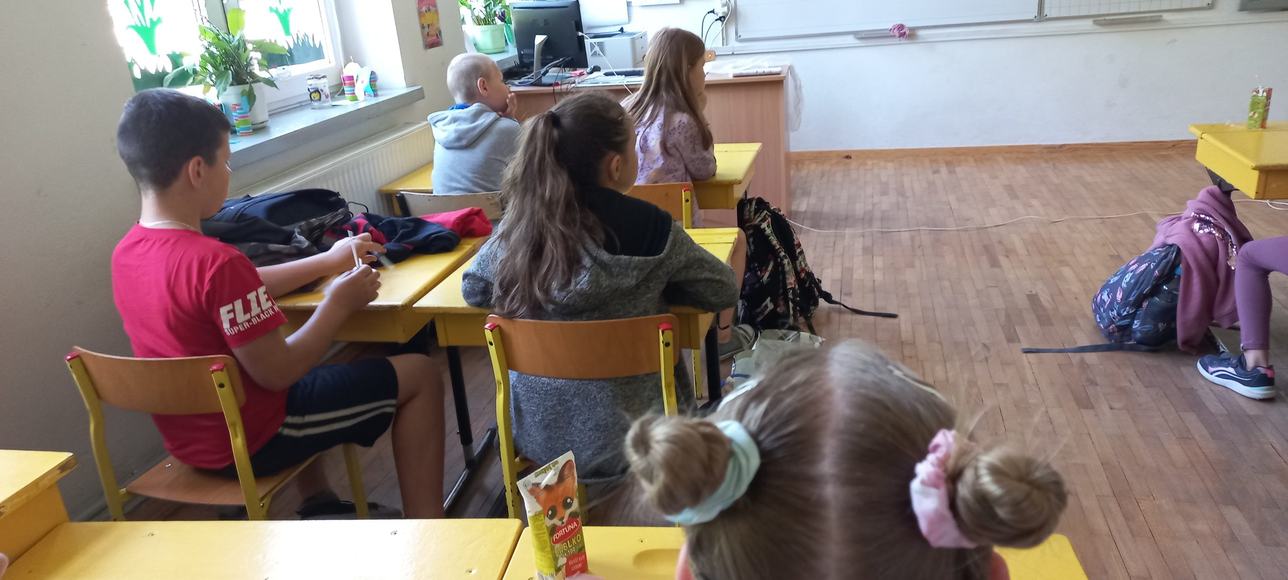 dzieci w klasie siedzące w ławkach, uczą się o pszczołach