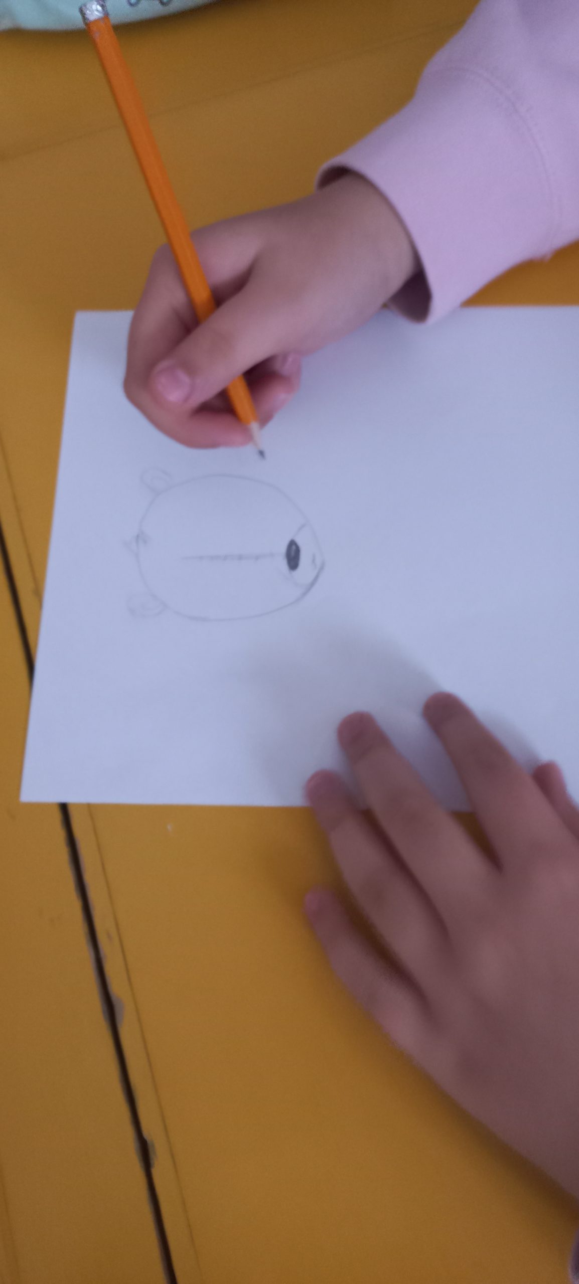 dziecko rysuje misia na białej kartce przy pomocy ołówka